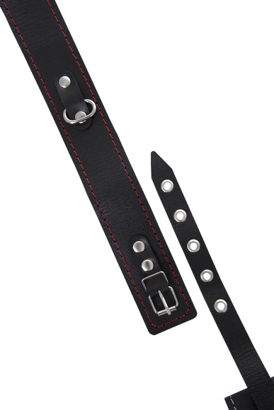 Кожаный двухслойный ошейник с красной строчкой и поводком