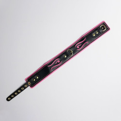 Черно-розовый ошейник с золотистой фурнитурой