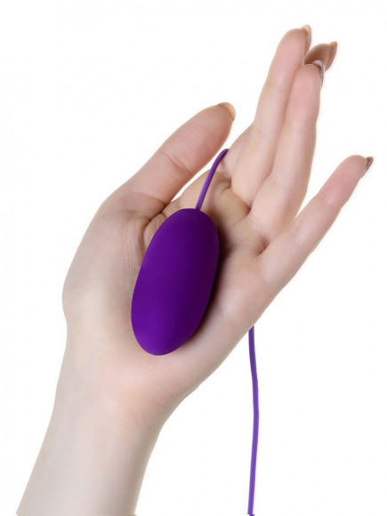 Фиолетовое виброяйцо с выносным пультом управления EGZO Фиолетовое виброяйцо с выносным пультом управления EGZO