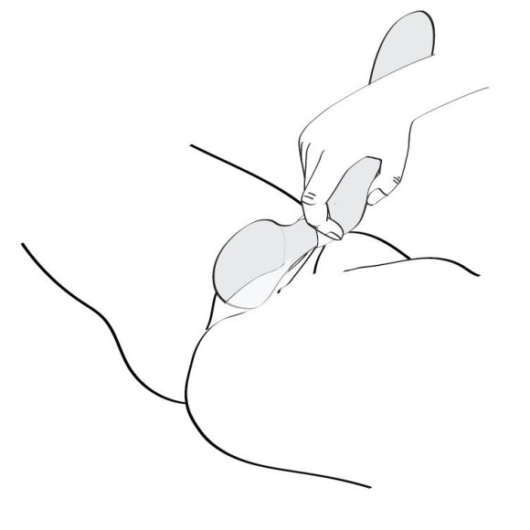 Розовый двусторонний вибростимулятор ZOA - 26,5 см. Розовый двусторонний вибростимулятор ZOA - 26,5 см.