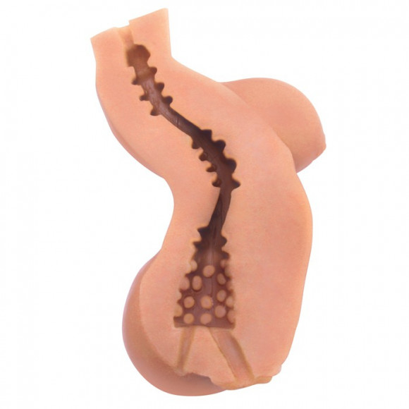 Мастурбатор-торс CyberSkin Intimates Virtual Girlfriend Light 