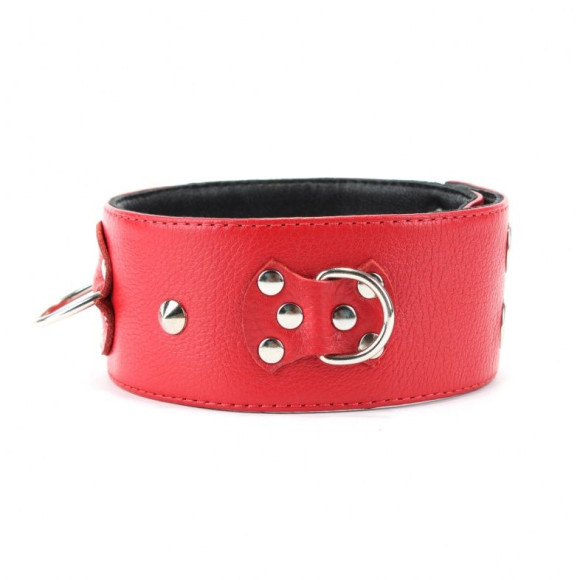 Красный кожаный ошейник с короткими шипами Красный кожаный ошейник с короткими шипами