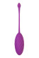 Фиолетовое силиконовое виброяйцо Purr